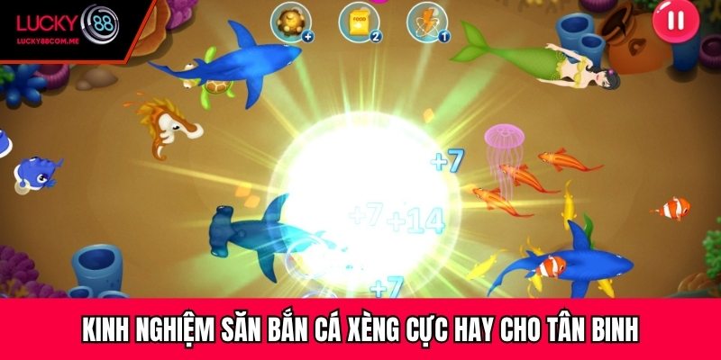 Kinh nghiệm săn bắn cá xèng cực hay cho tân binh